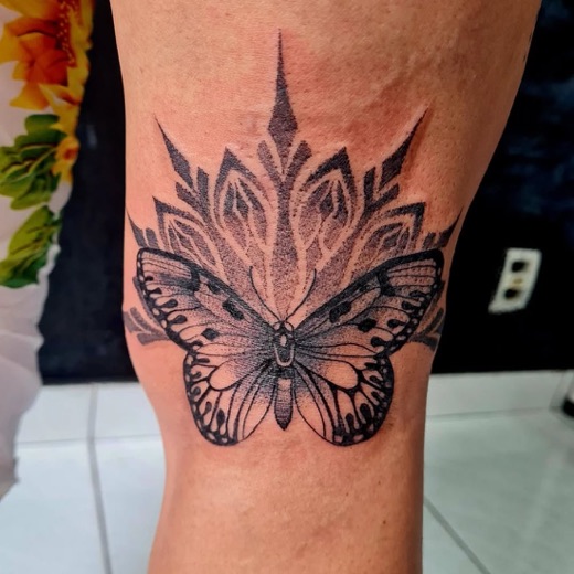 Mandala com borboleta em pontilhismo